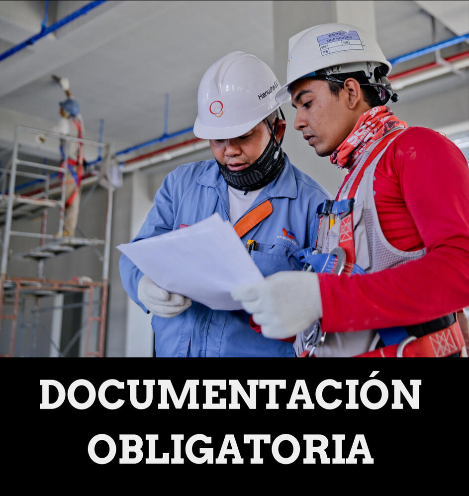 Faucibus nisl tincidunt